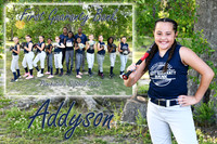 addyson perry memory mate
