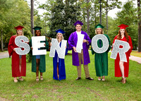 Sign Gypsies Senior Reps