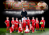 6U COED GUITREAU - TIGERS