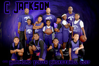 8x12 C Jackson 9-10 HARD team