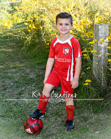 brewer laurent_3113
