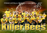 5x7 KILLER BEES TEAM PYF 2017