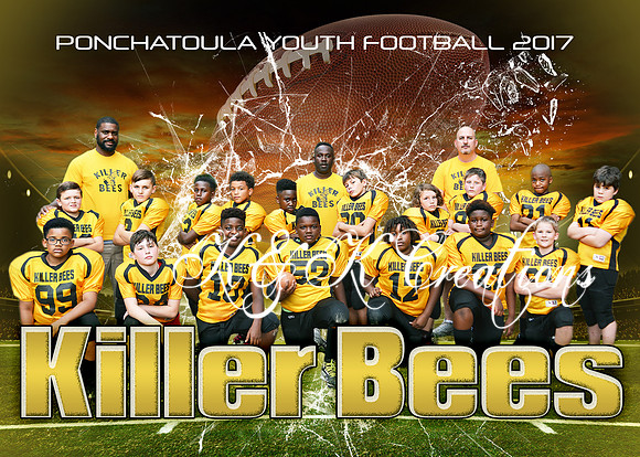 5x7 KILLER BEES TEAM PYF 2017