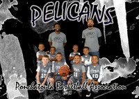 Pelicans 5-6 Boys