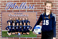 mallori asprion memory mate