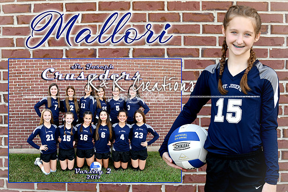mallori asprion memory mate