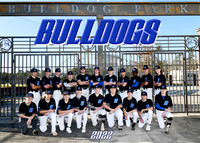 Springfield High Baseball 2022