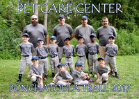 5X7 PET CARE CENTER TEAM TBALL