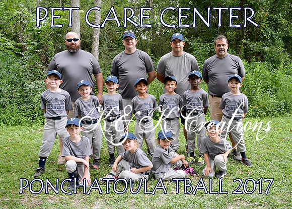 5X7 PET CARE CENTER TEAM TBALL