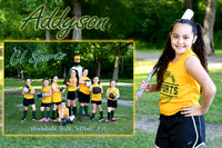 addyson perry memory mate