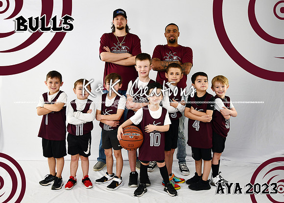 5X7 BULLS B4-6 SEAN SYKES TEAM