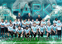 Sharks - Junior Conference