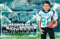 GABRIEL BATES MEMORY MATE