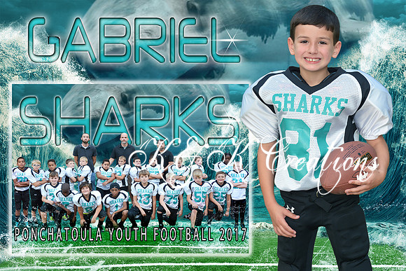 GABRIEL BATES MEMORY MATE