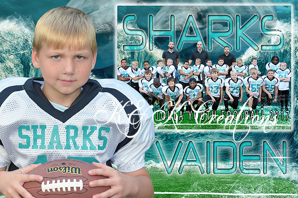 VAIDEN ZYDALLAS MEMORY MATE