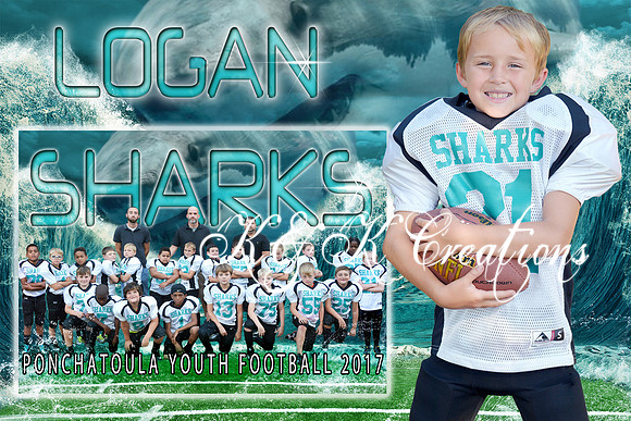 LOGAN  MEMORY MATE