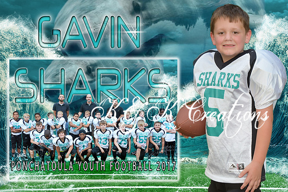 GAVIN MILLER MEMORY MATE