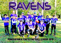 Ravens -Jason