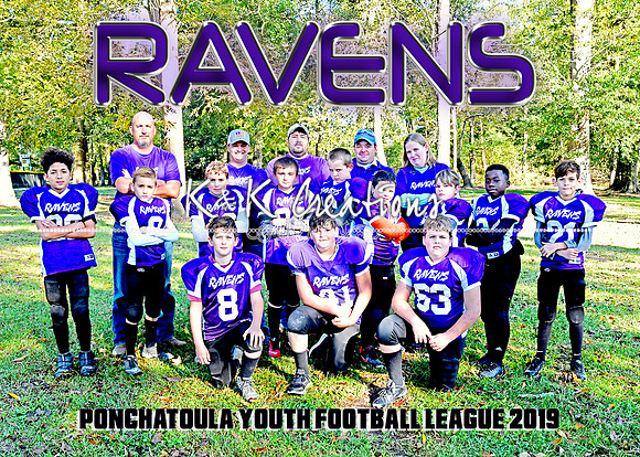 5X7 RAVENS TEAM PYFL