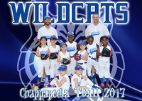 Wildcats tball