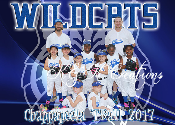5x7 WILDCATS tball TEAM
