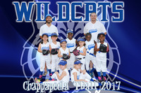 8x12  WILDCATS tball TEAM