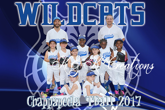 8x12  WILDCATS tball TEAM