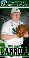 steven carrol senior banner