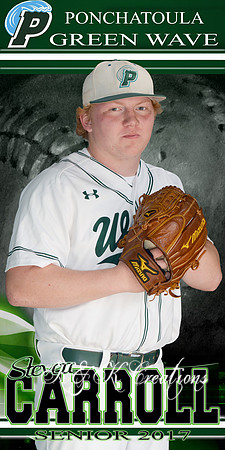 steven carrol senior banner