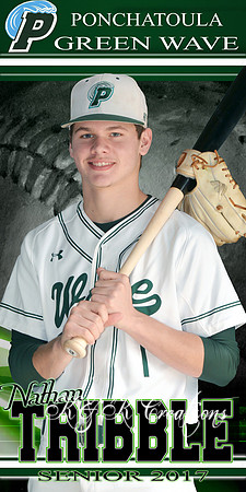 nathan tribble senior banner