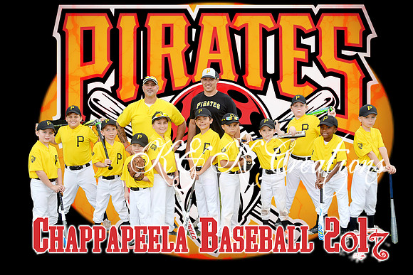 pirates team pic