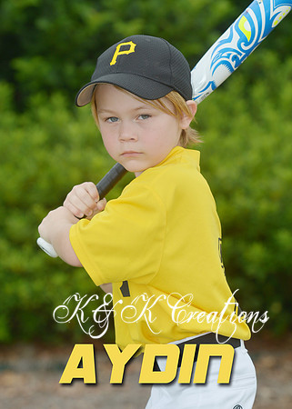 aydin_petz_3