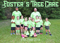 Foster's Tree Care TBall