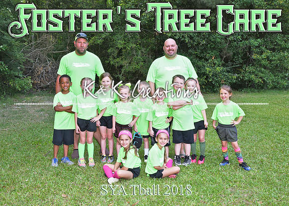 5x7 SYA Fosters Tree Care Tball TEAM