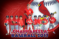 Cardinals