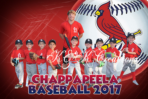 cardinals team pic