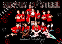 Serves of Steel