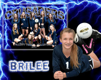 brilee_mm 8x10_final