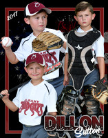 DILLON COLLAGE
