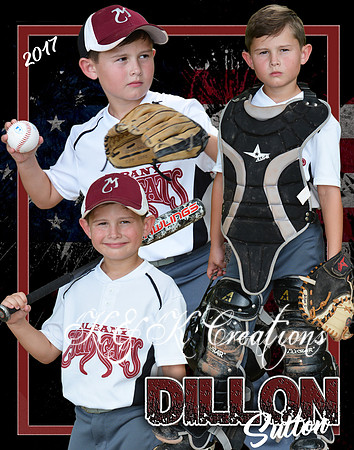 DILLON COLLAGE