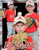 DILLON SUTTON REMAKE COLLAGE