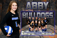 abby lagarosse memory mate