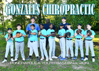 Boys 9-10 Gonzales Chiropractic