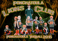 5x7 TBALL Ponchy Lions Club