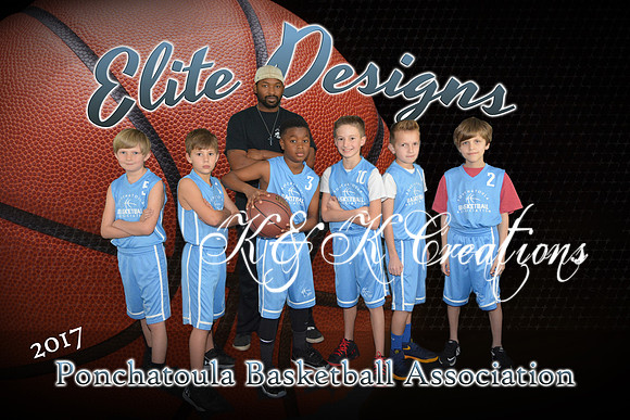elite_designs team