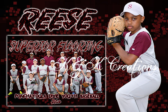 REESE ELZY MEMORY MATE