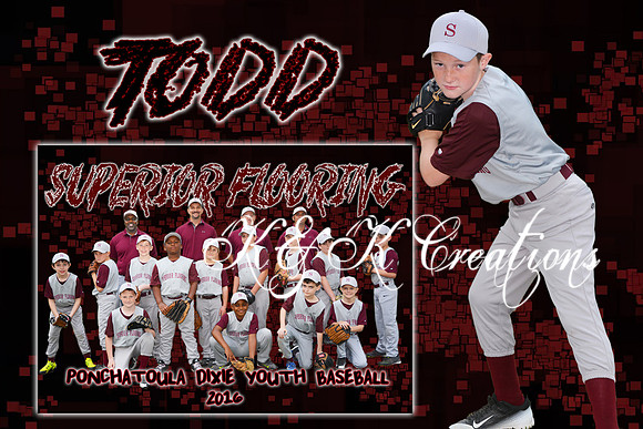 TODD BODE MEMORY MATE