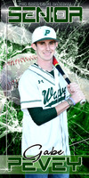 GABE PEVEY BANNER