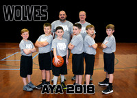 9-10 Boys #3 Wolves