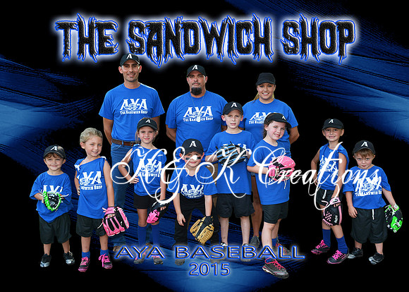 5x7 SANDWICH SHOP TEAM